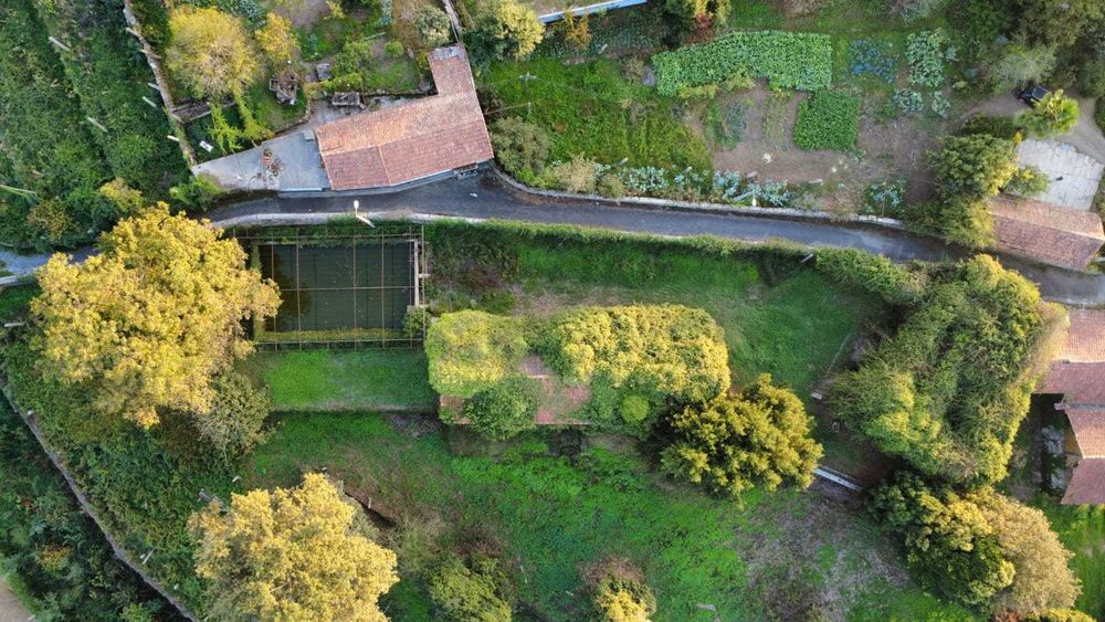 Serviço de filmagens/fotografias de drone