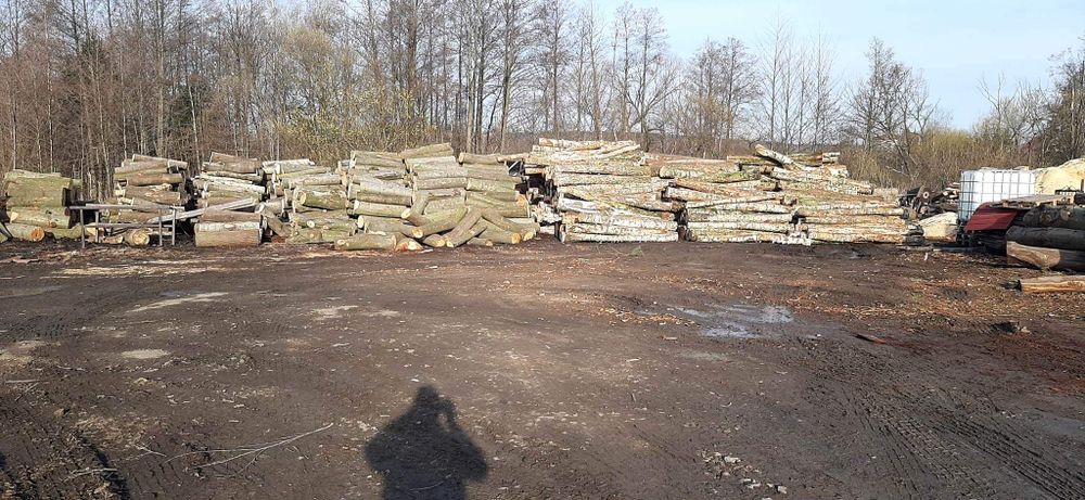 Drewno opoałowe kominkowe bukowe dębowe