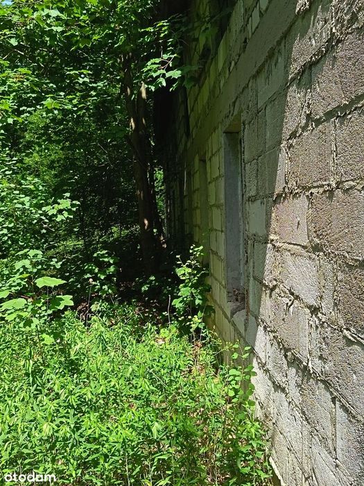 Prywatna Enklawa 5,32 ha z Lasem i Stawem Posiadłość Gzin - Widok 6