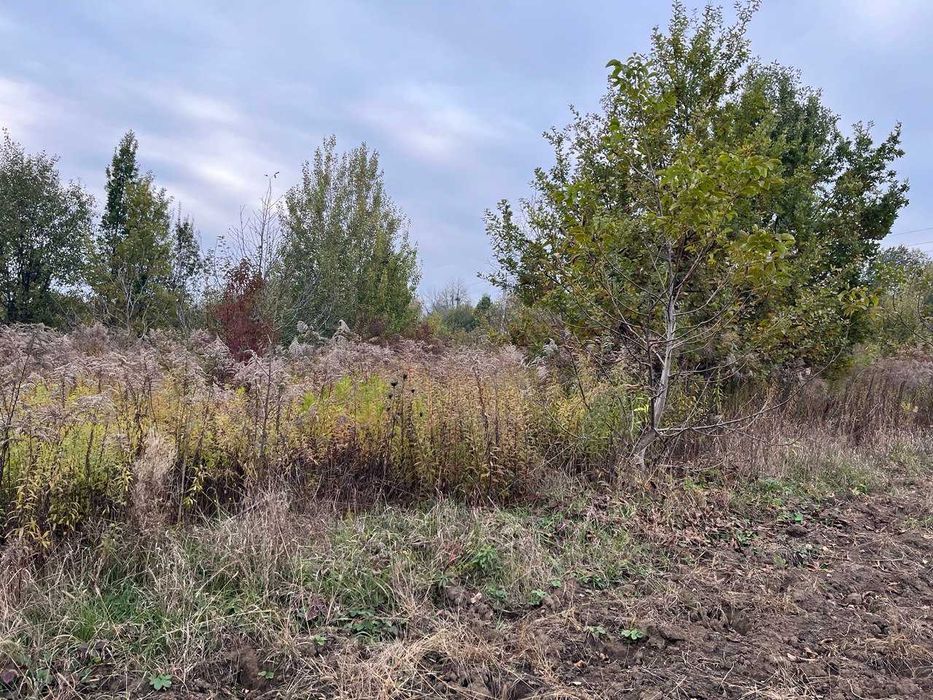 Чернівці 0,8265 га (землі житлової та громадської забудови)