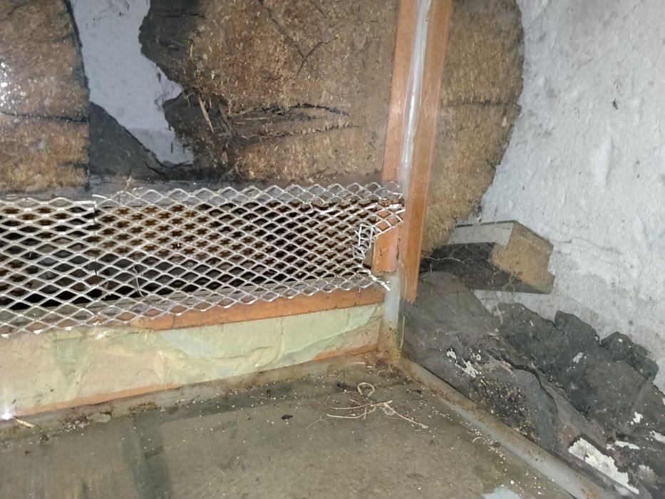 Duże terrarium. OPOLE