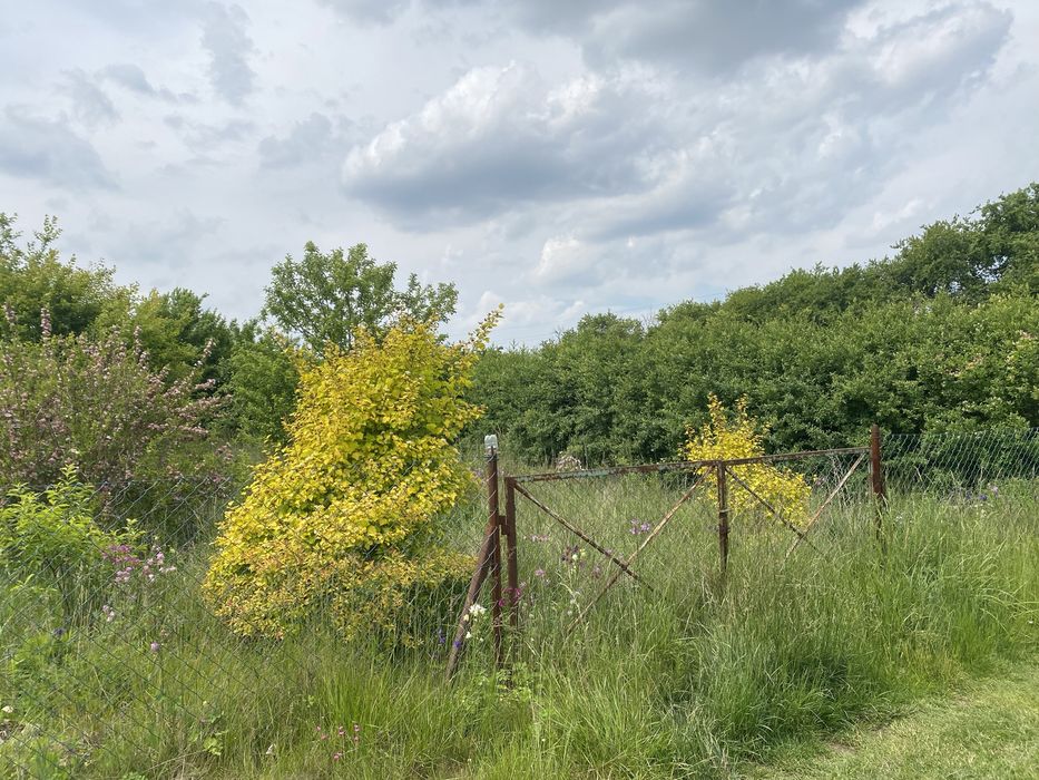 Mieszkanie Sarbinowo Drugie, 30 m2 + działka 782 m2 + piwnica + pom. gos.