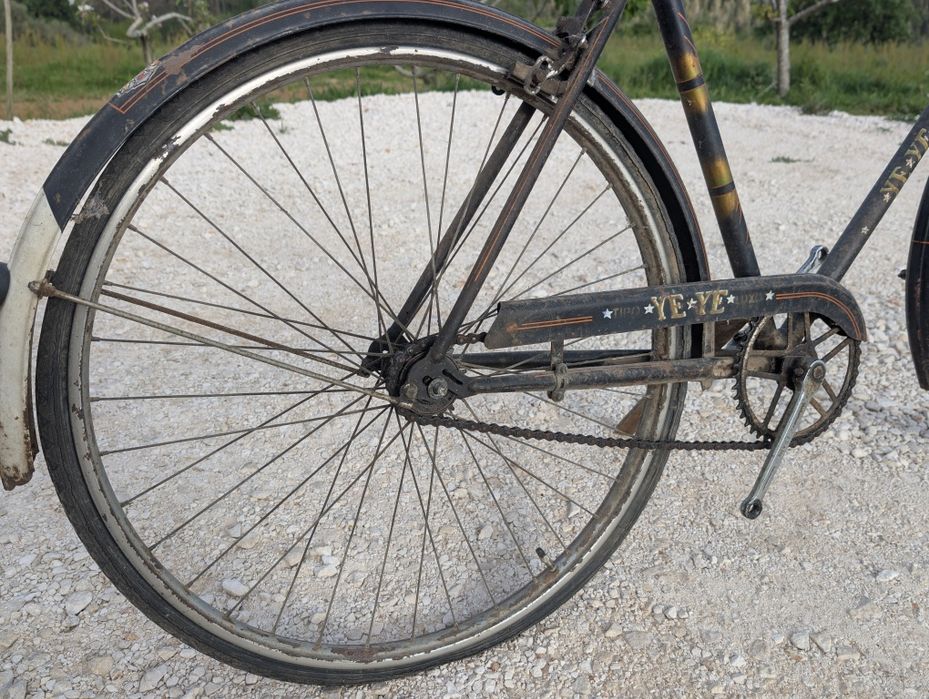 Bicicleta ye ye homem