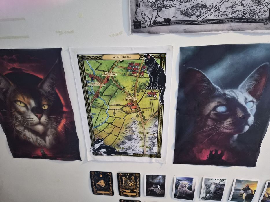 Sprzedam dodatki wojownicy Erin hunter