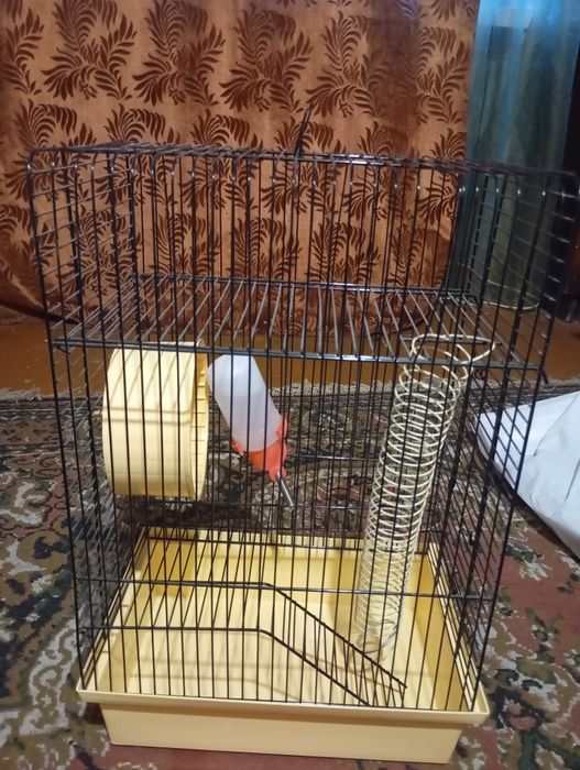 Продам клетку для хомячка