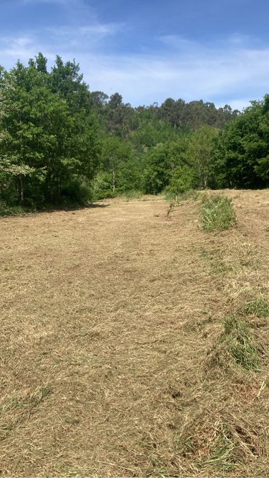 Limpezas de Terrenos e Florestais