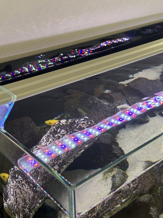 Akwarium 100 l optiwhite zestaw kompet