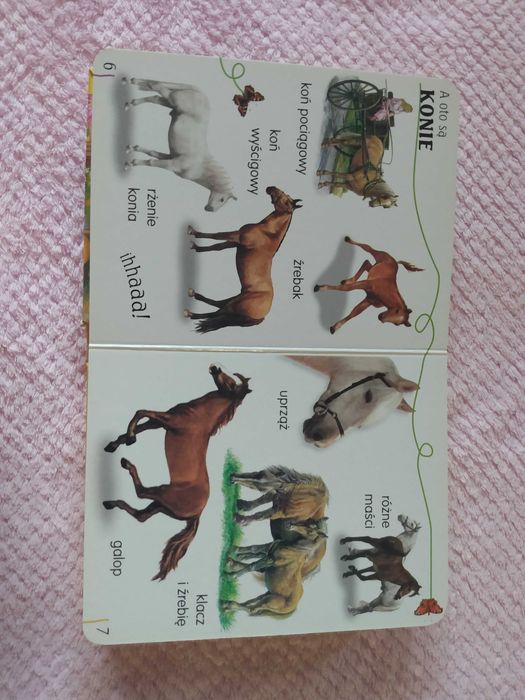 Sprzedam książkę dla dzieci "Zwierzęta żyjące blisko mnie"