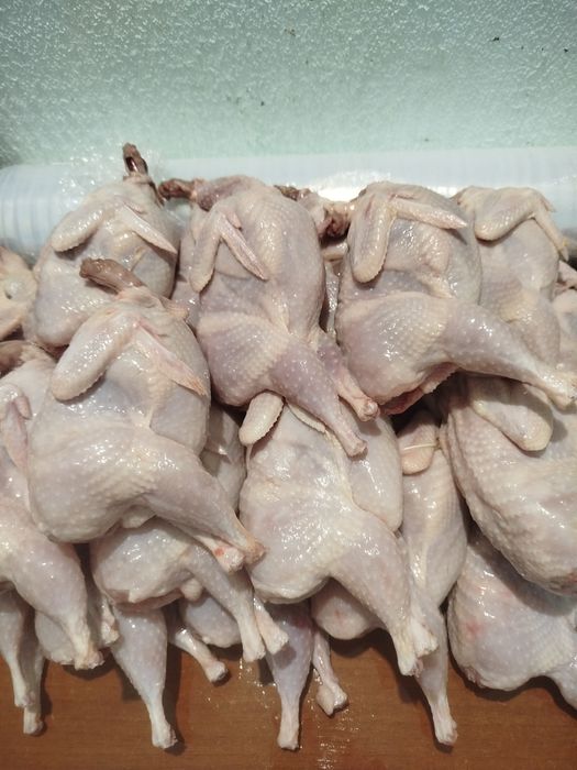 Тушка перепілки, м,ясо