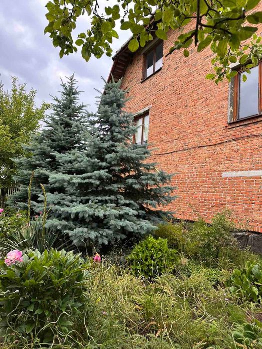 Продаж будинку Пустомити