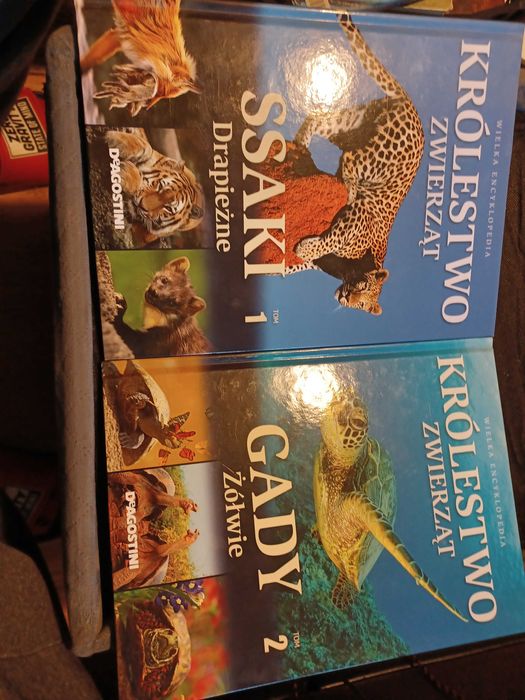 Książka królestwo zwierząt