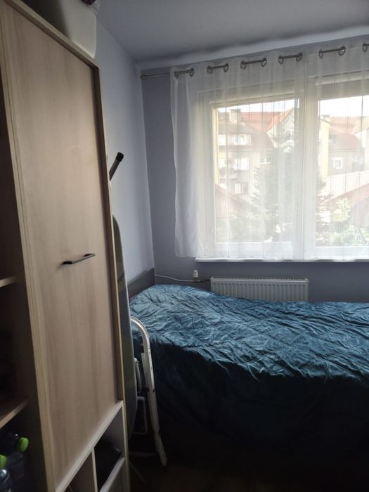 Zdjęcie 8