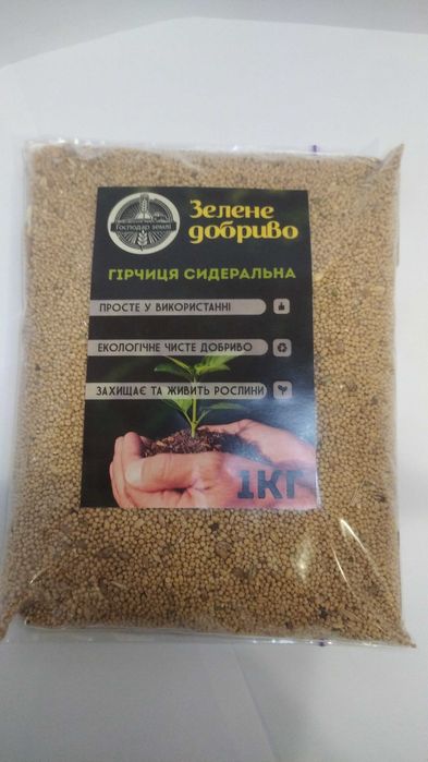Гірчиця сидеральна
