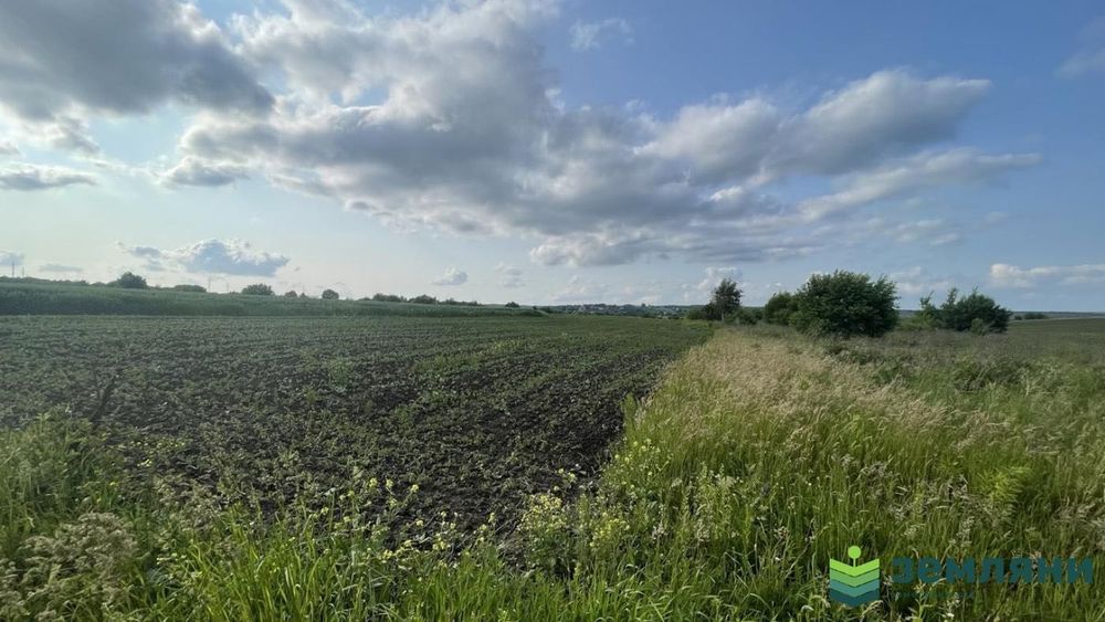 Продається ділянка 20 сот в с. Підлужжя (5)