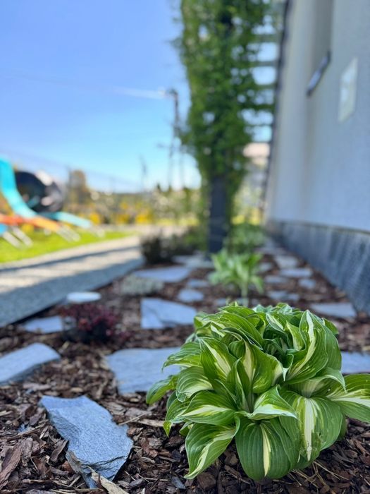 Apartament na Polnych Domach