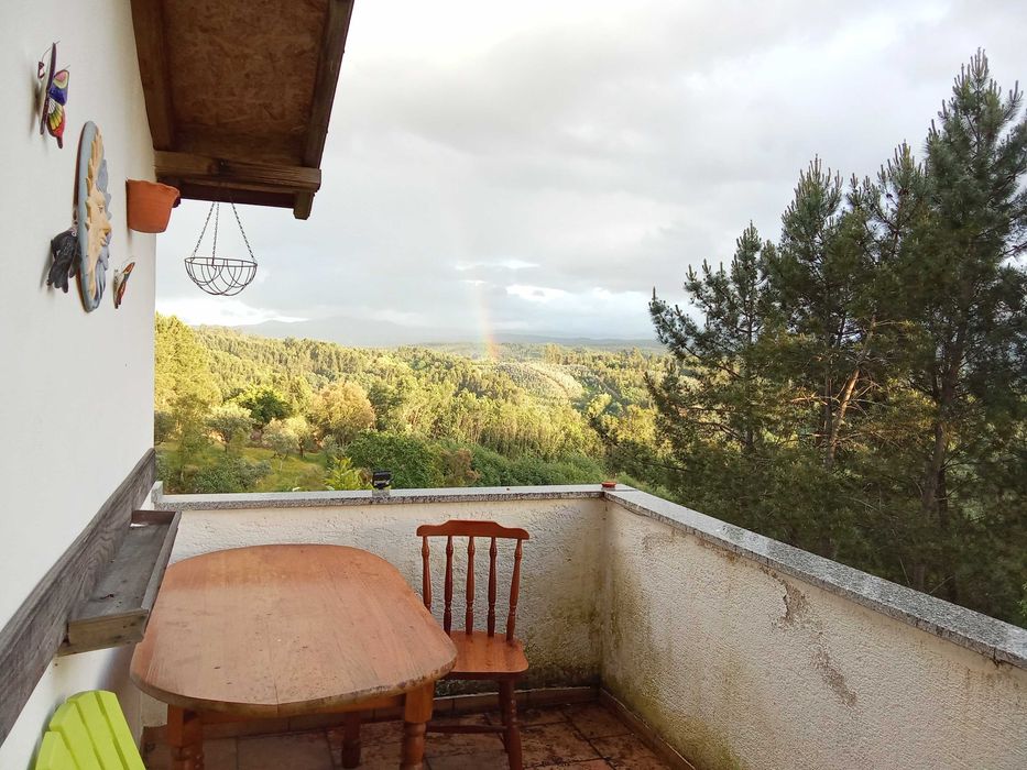 Quatro cadeiras de madeira e base de mesa