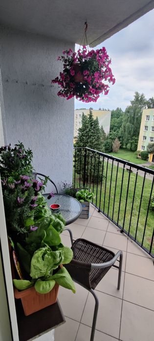 Sprzedam mieszkanie