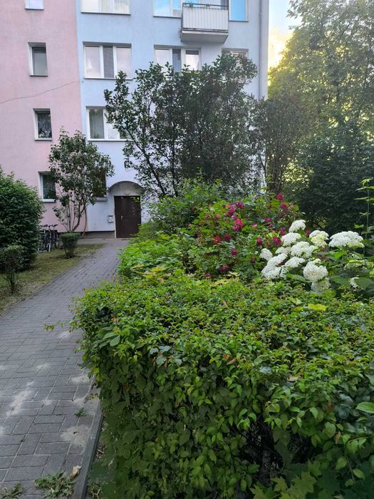 Zdjęcie 8