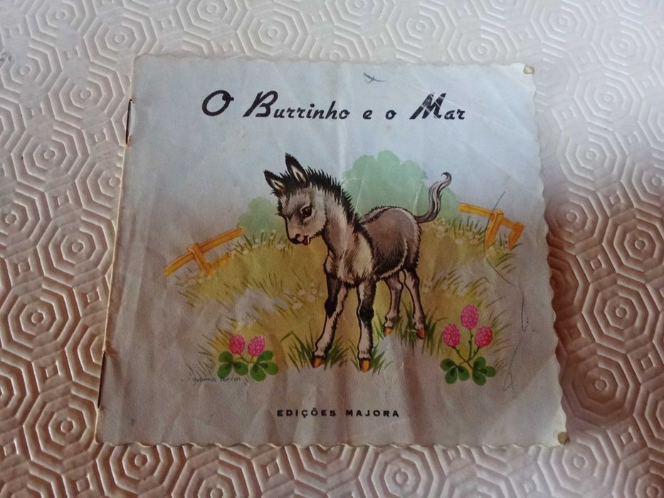 O burrinho e o mar