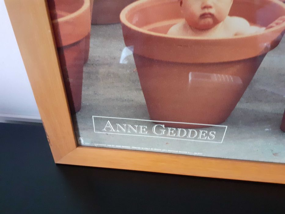 Quandro poster Anne Geddes