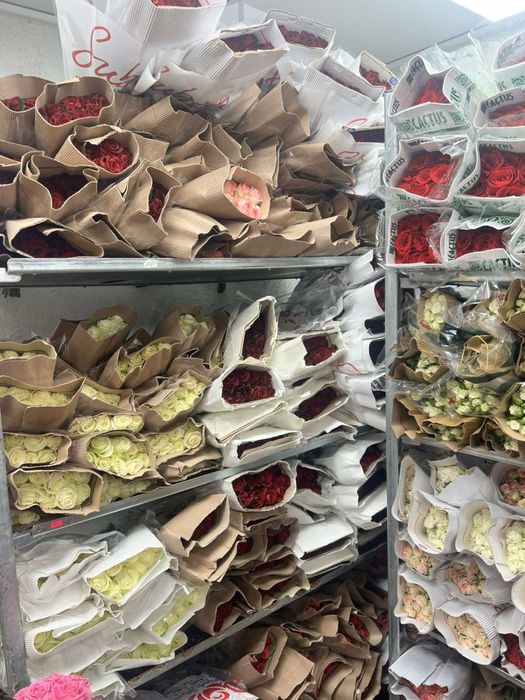 Троянди розы великий вибір