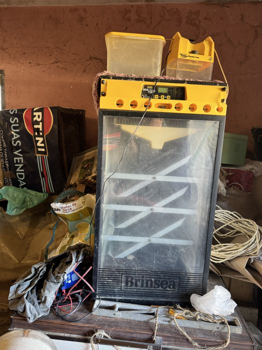 Incubadora Brinsea Ova-Easy Advance + Humidificador – Excelente Estado