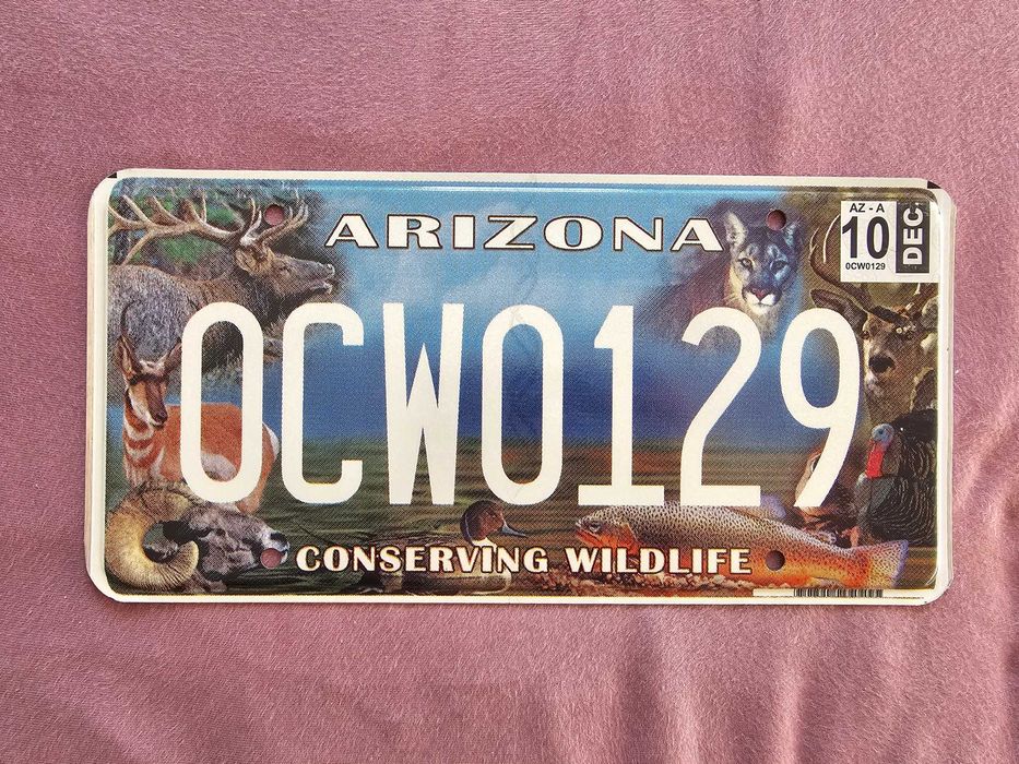 Tablica z Arizona USA