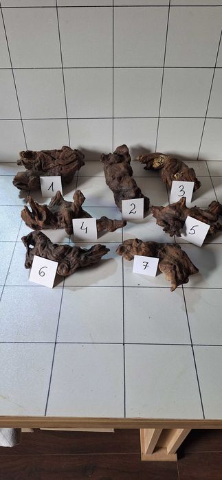 Korzeń DRIFT WOOD wyprzedaż