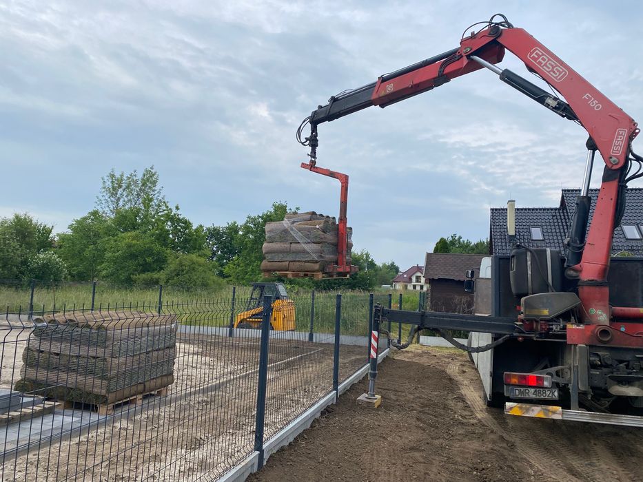 Trawa w rolce - Producent, Paszport Roślin