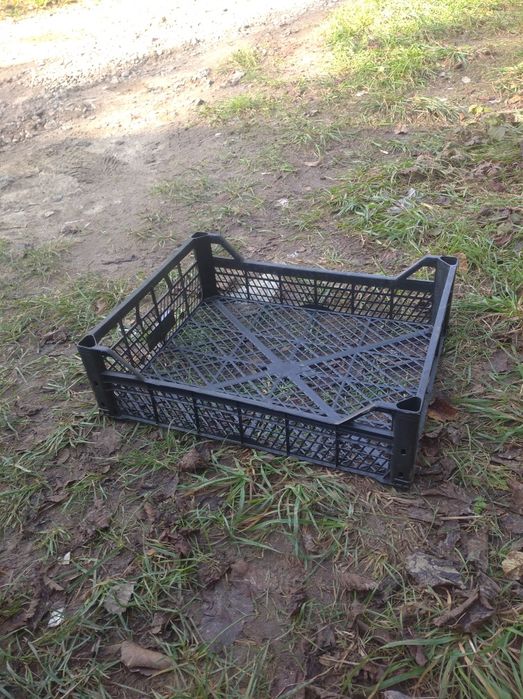 Продам ящик виноградний, стан хороший, незважаючи, на те що ящики б/в