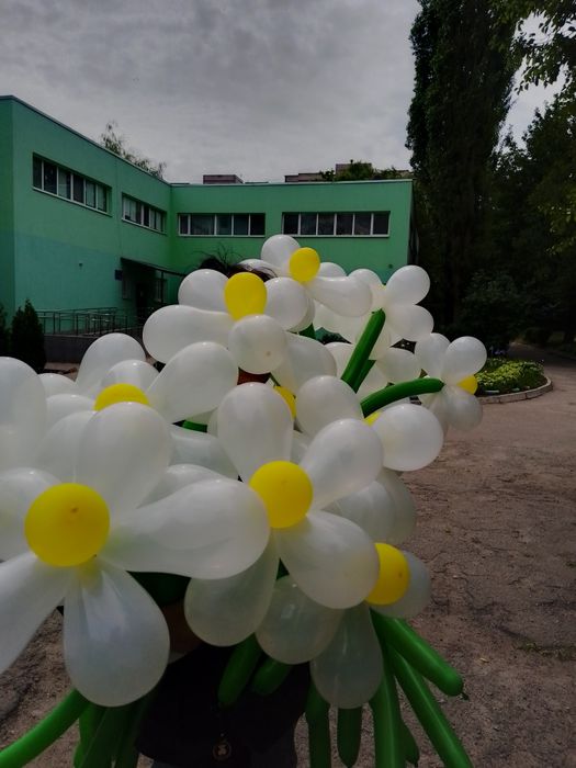 Продам ромашки с доставкой