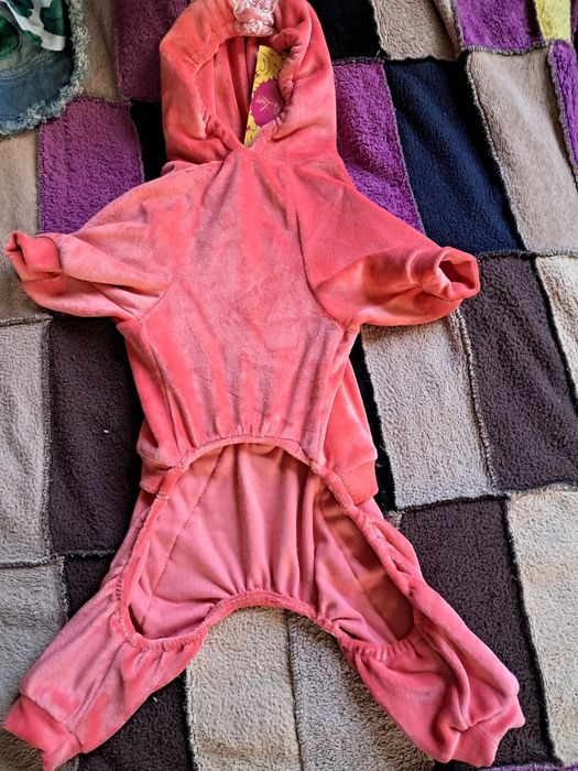 Одяг для собак та котів