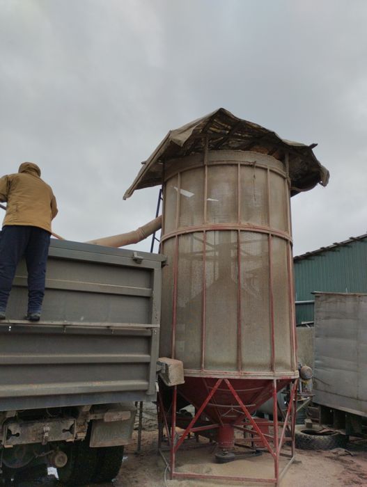 Зерносушарка зерносушка зерносушилка сушка зерна