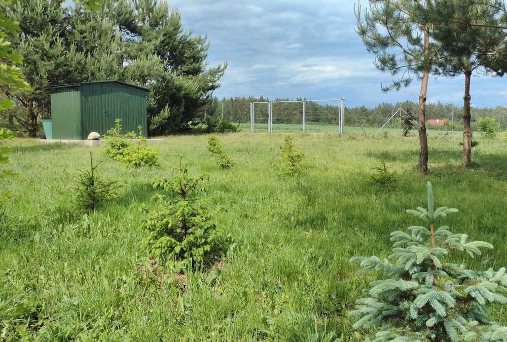 Działka Mazury - Warunki Zabudowy - prąd, ogrodzona - jeziora i lasy - Więcej