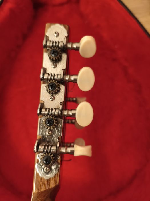 Bandolim Artimúsica 40040 com Piezo + Estojo Rígido