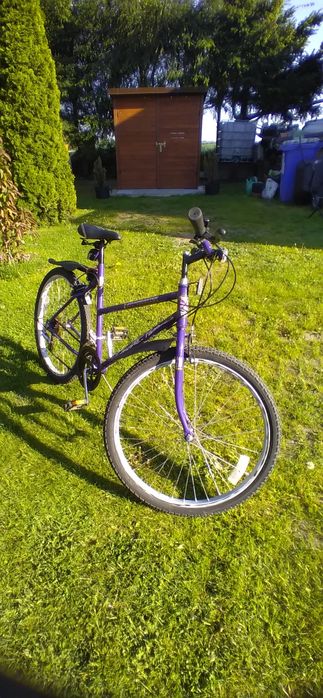 Rower Roadmaster ALL TERRAIN USA