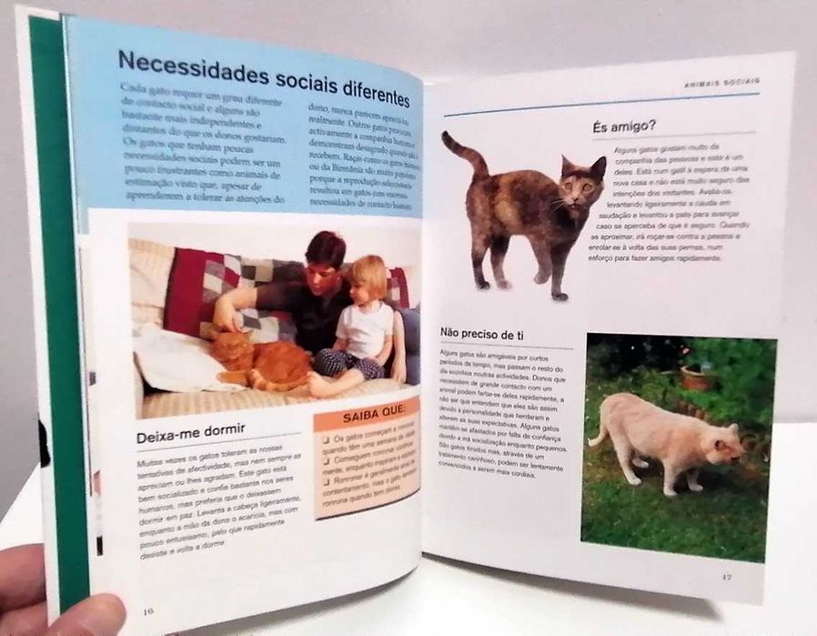 O Que é Que o Meu Gato Está a Pensar?, de Gwen Bailey