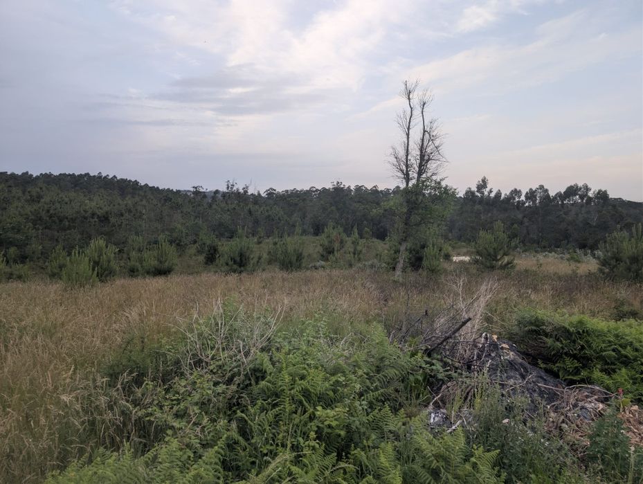 Terreno macieira da maia