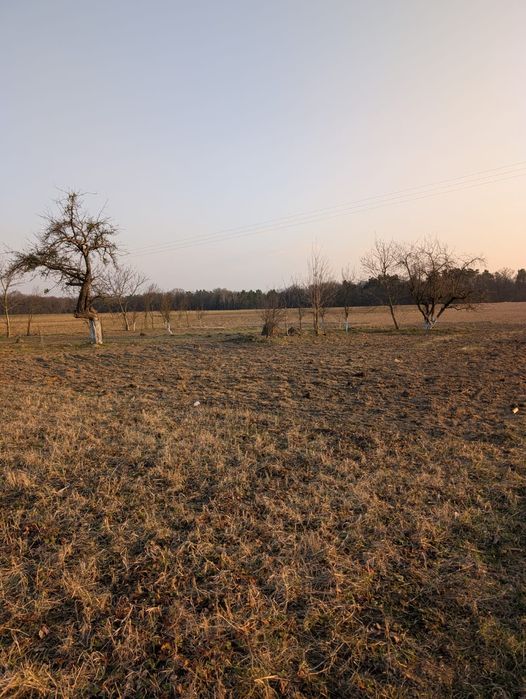 Sprzedam siedlisko, dom z gruntami rolnymi