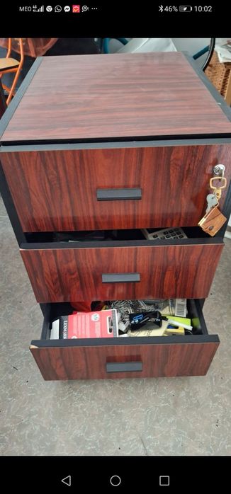 Secretaria Grande e muito Robusta