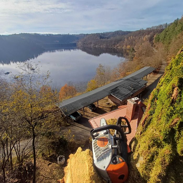 Wycinka i pielęgnacja drzew