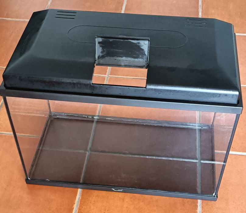 Aquário grande peixes