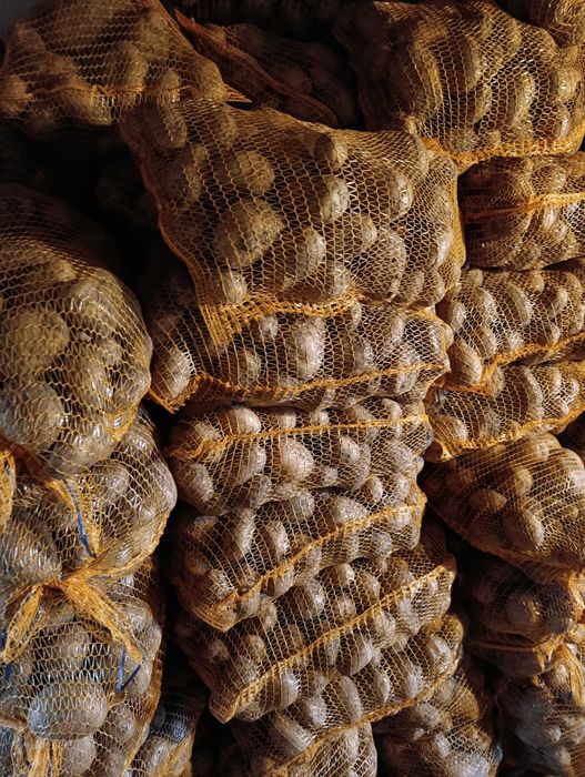 Ziemniaki Denar 10zl/15kg