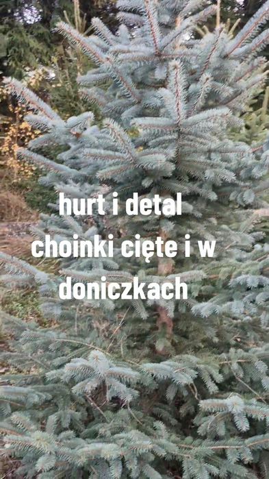 Choinka  hurt I detal