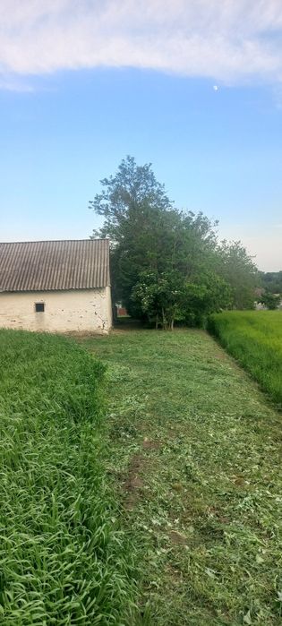 Будинок з ділянкою 60 соток