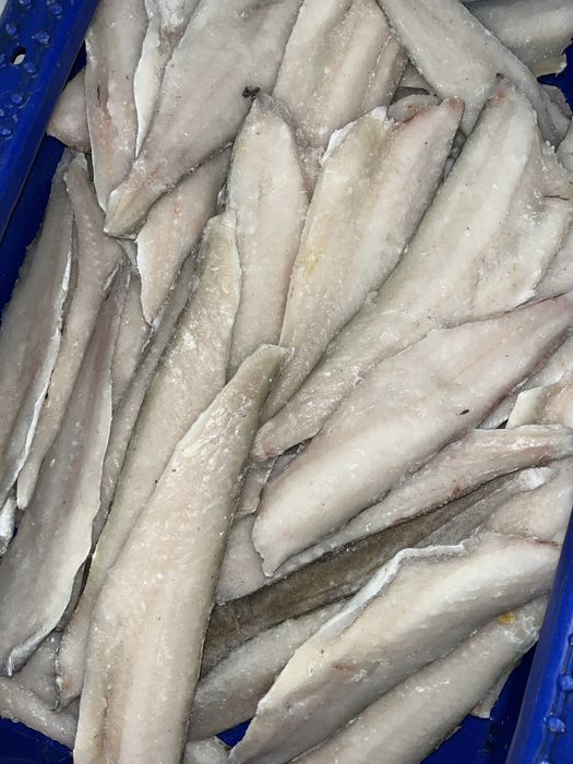 Swieżo mrożony drosz filet!