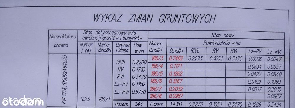 Zdjęcie 6