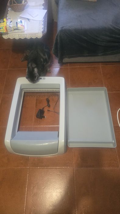 Caixa Areia Automática para Gatos