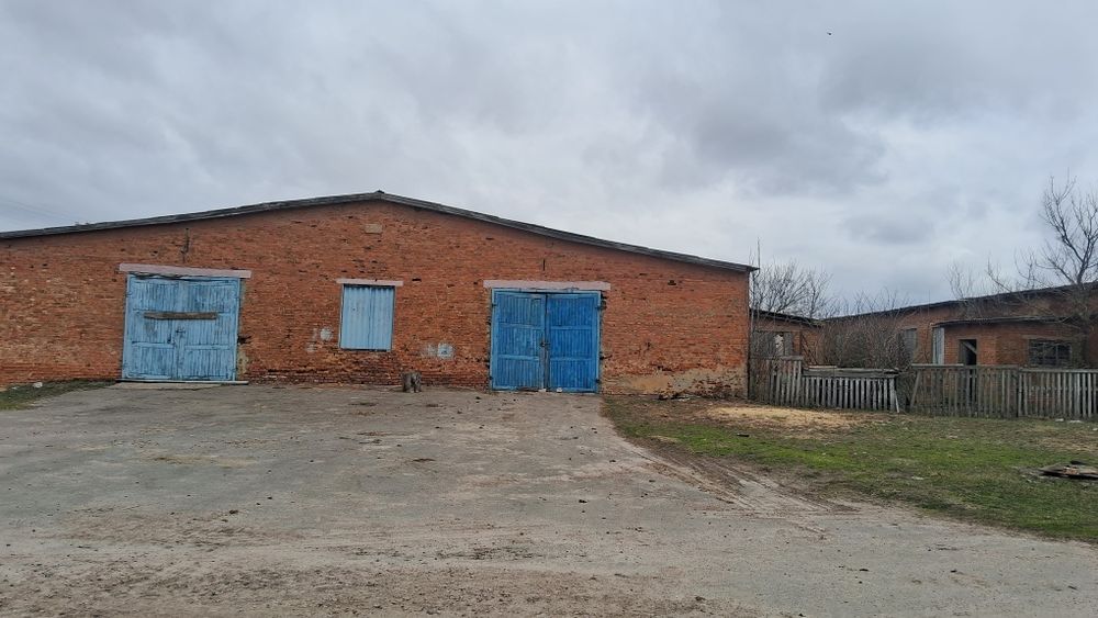 Продаеться ферма