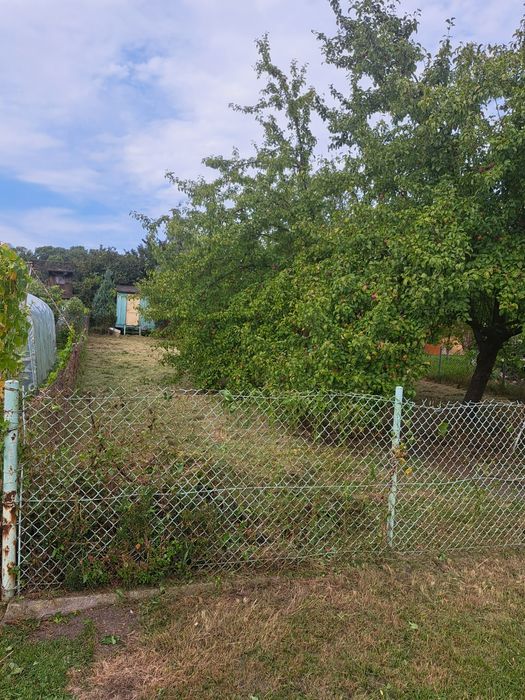 Odstąpię działkę ROD na Grobli 400m2